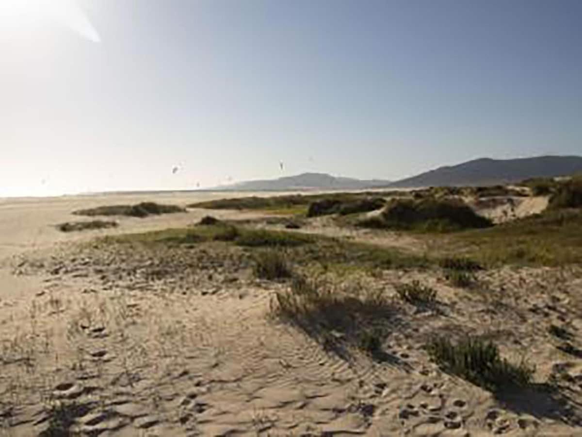 Mirador I Tarifa Apartment Екстериор снимка